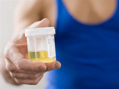 The ULTIMATE Guide to Passing Urine Drug Tests (For THC)